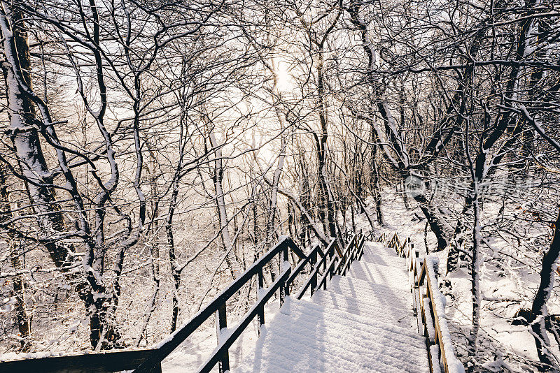 丹麦Møns Klint的冬季阳光和完美的雪